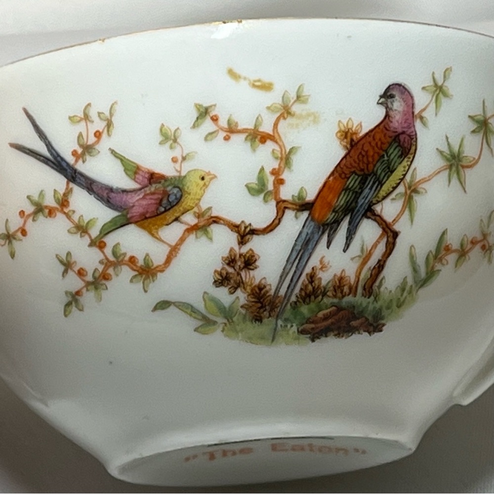 BOHEMIA Fine China Teacup Made in Czechoslovakia Bird of Paradise Translucent